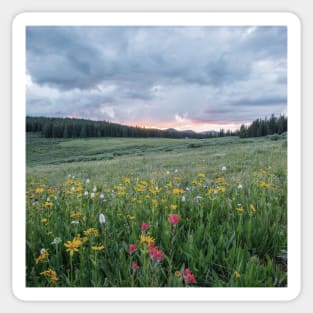 Wildflowers in the breeze II Sticker